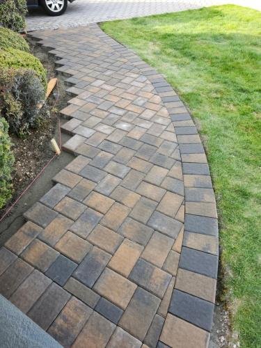 WhatsApp Image 2025-09-11 at 4.31.54 PM